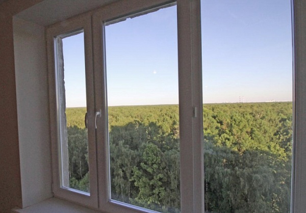 Студия с панорамным видом из окна на лес! 
